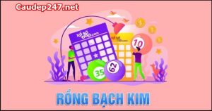 Soi cầu rồng bạch kim chính xác