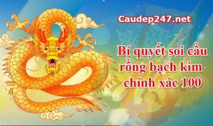 Soi cầu 247 Vip